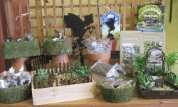 fairy garden display