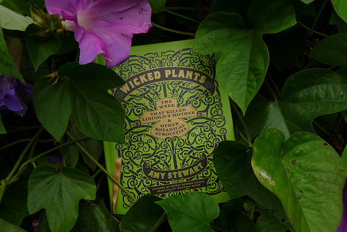 wickedplants